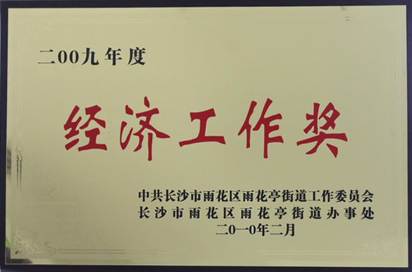 2012.2雨花區(qū)經濟工作獎